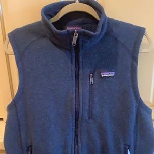 Mens PATAGONIA vest